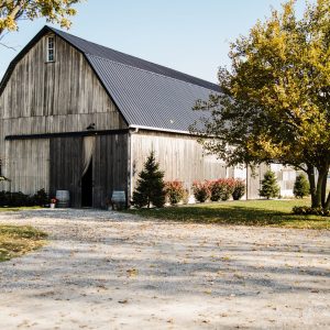 Black-Bird-Farm074